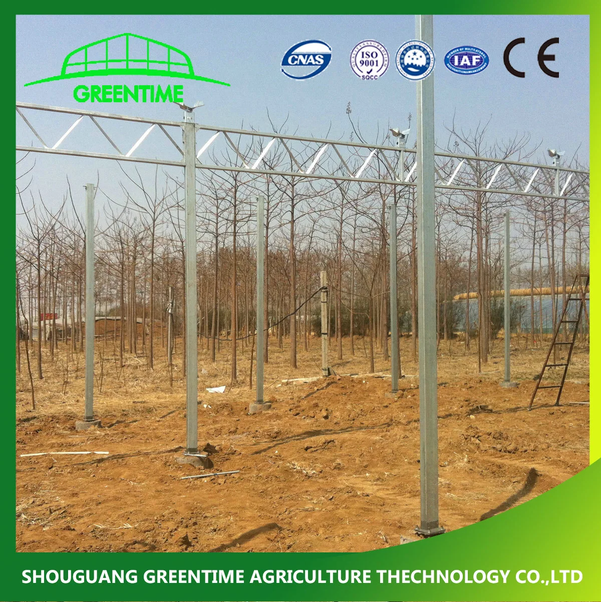 Commercial 6mm Polycarbonate Greenhouse with Growing System