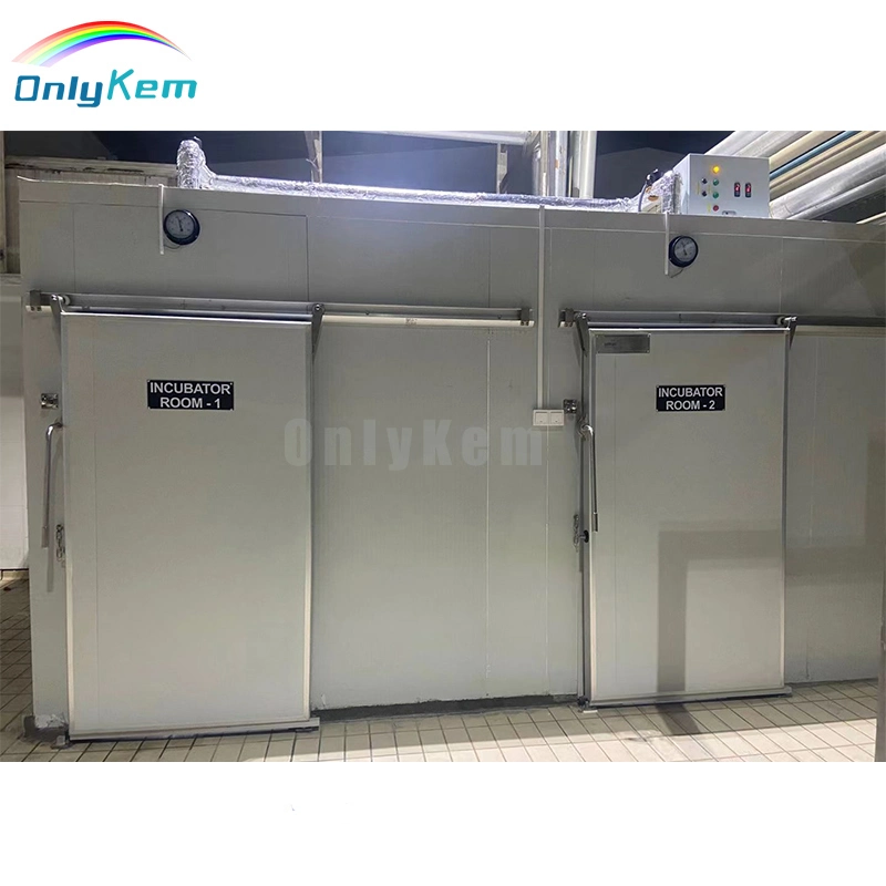 European Standard Cold Room Automatic Sliding Door for Walk in Freezer