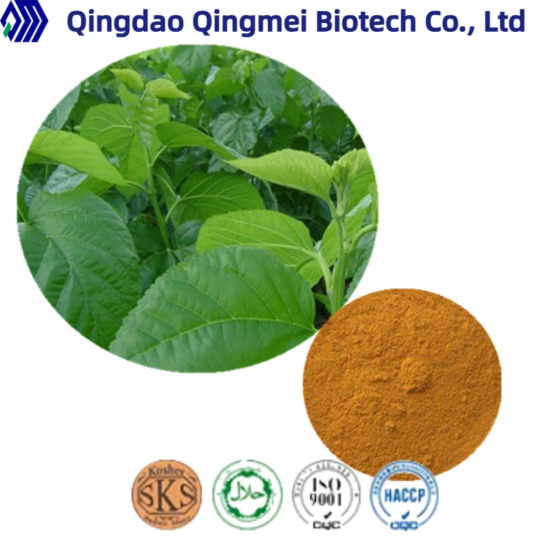 Halal & Kosher Mulberry Leaf Extract CAS19130-96-2