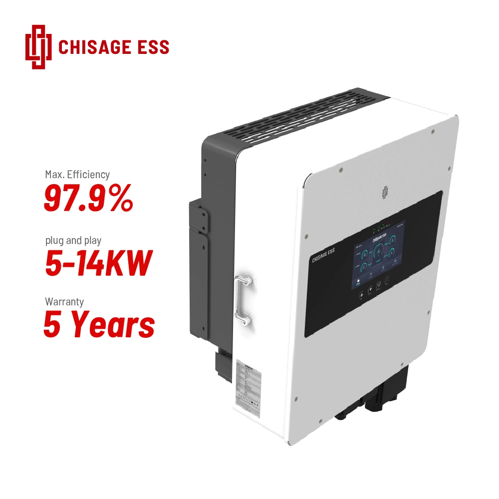 48V on off Grid DC to AC Solar Power Hybrid Inverter with Double MPPT Solar Charge Controller