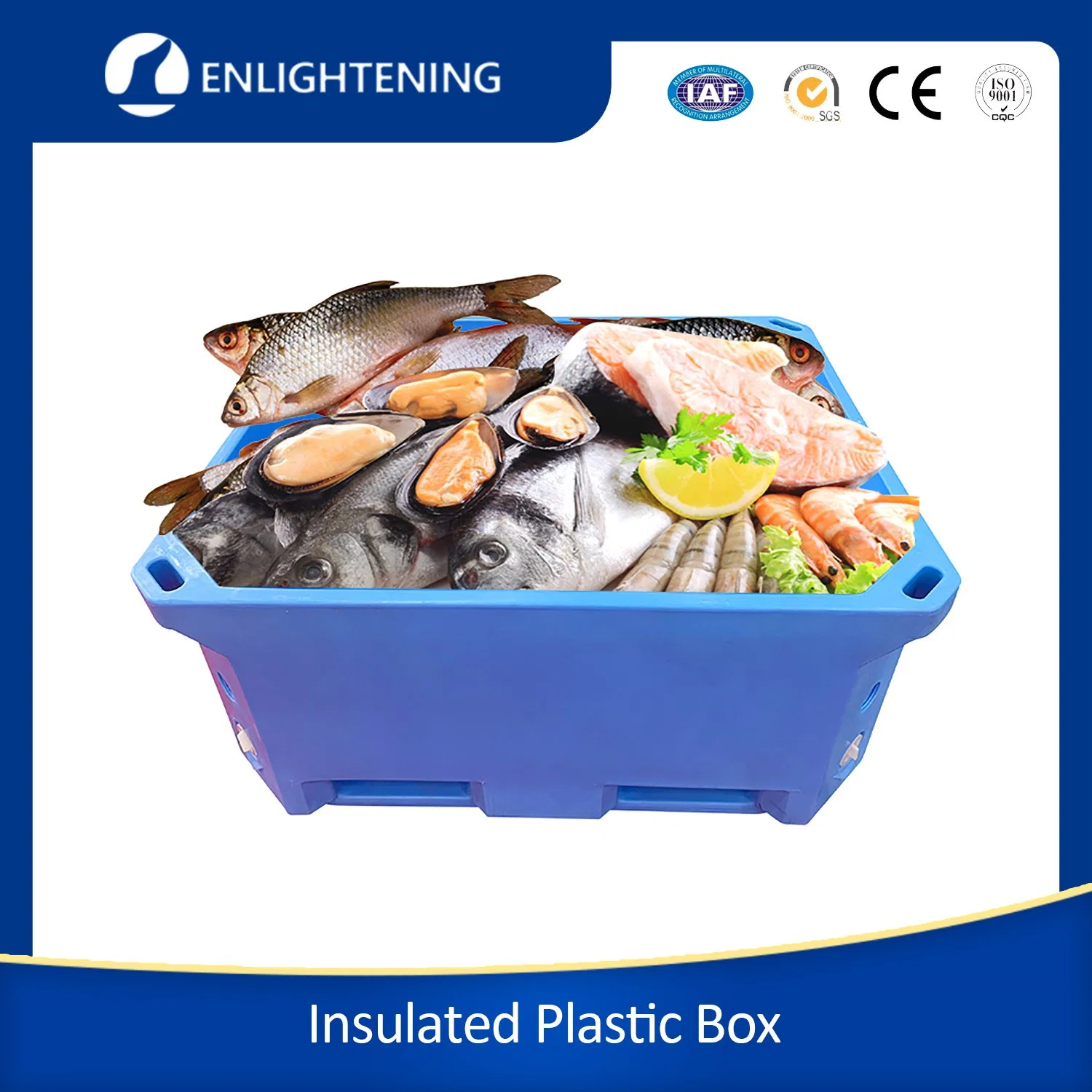 Custom 780L Large Fish Transportation Container Commercial Chest Cooler Insulated Containers for Cold Food Storage