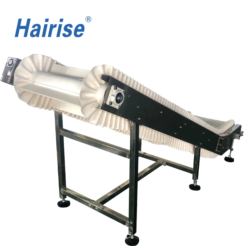 Hairise Plastic Chain Conveyor Belt for Industry/Belt Conveyor Wtih FDA& Gsg Certificate