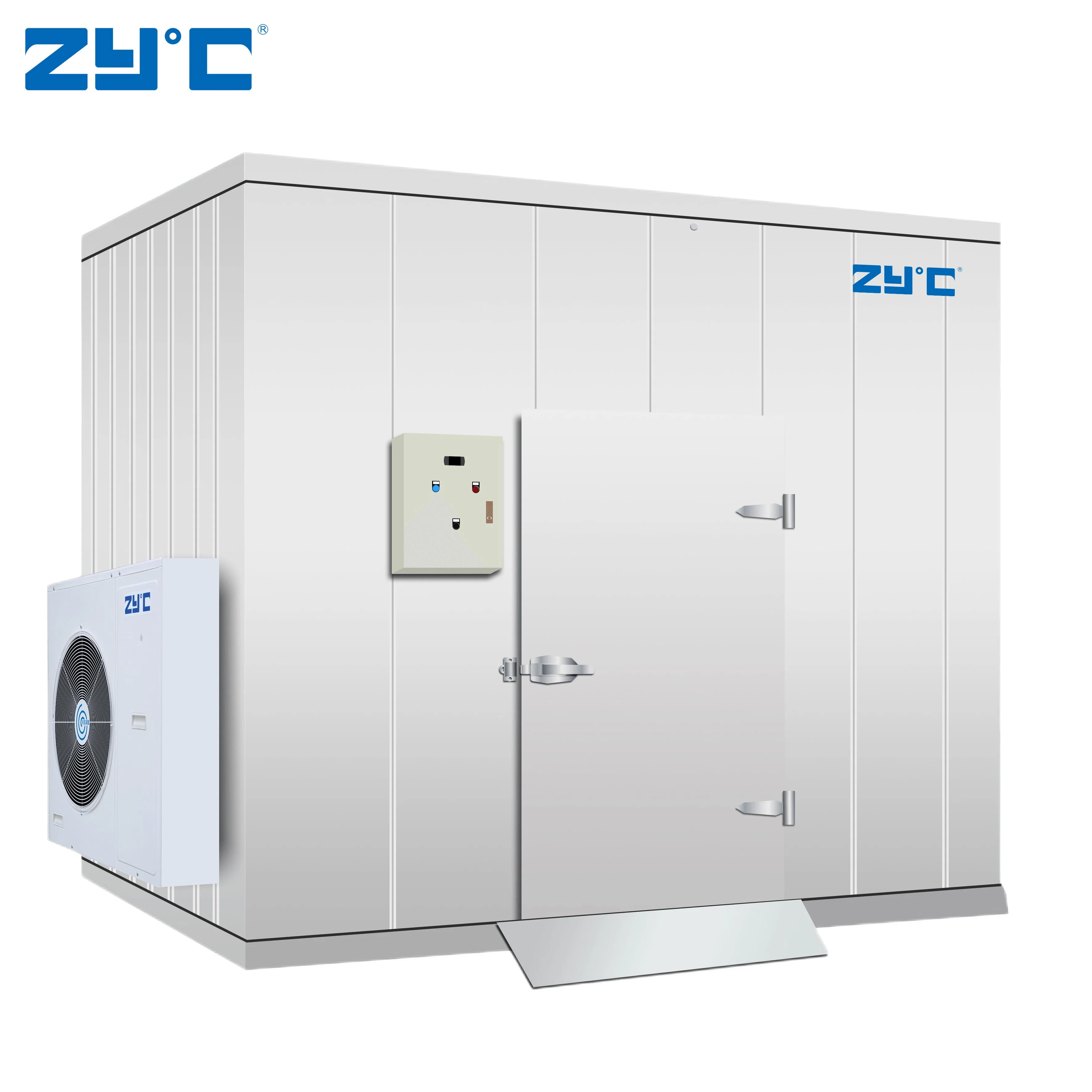 Zyc Customized Design Cold Storage Walk-in Chiller Freezer Room Quick Freezing for Refrigeration in Food Processing Farms Warehouse