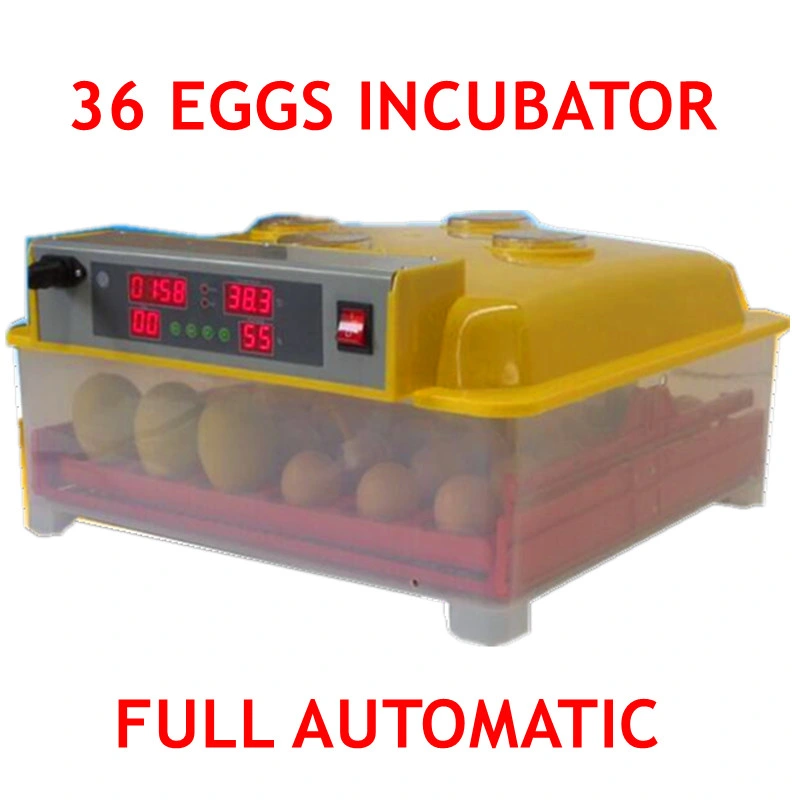 36 Eggs CE Approved Automatic Poultry Egg Incubator