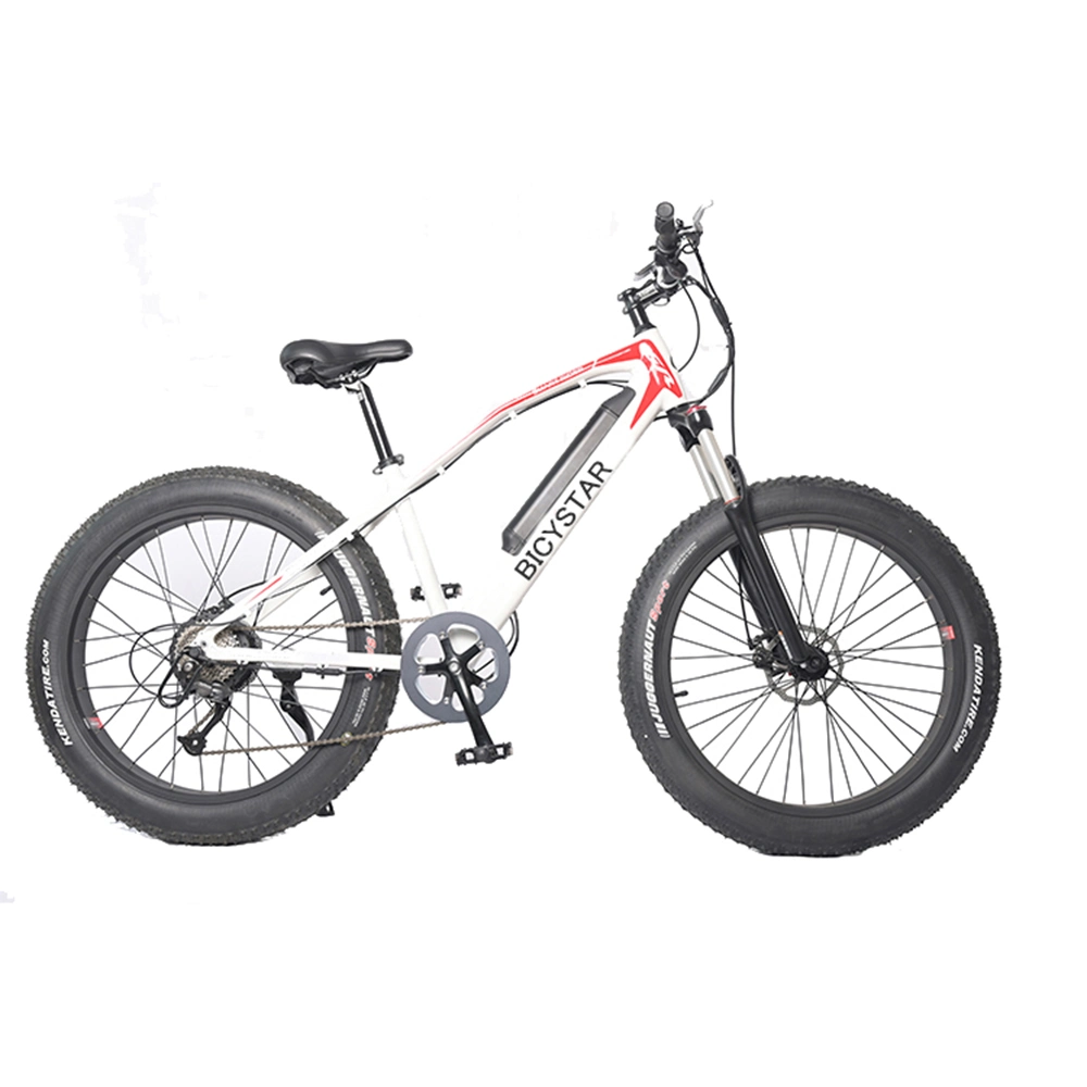 Electric Bicycle Fat Tire/Electric Bike Bicycle Fat Tire/Electric Bike Fat Tire 1000W/Electric Bike Fat Tire 750W