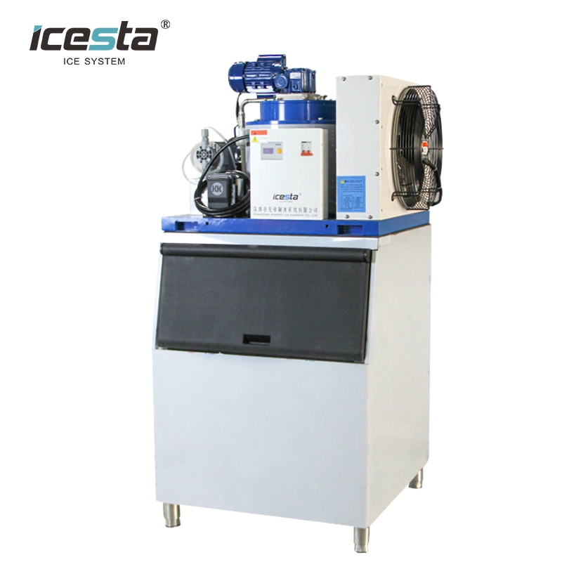 Beautiful Design 500kg 1ton Flake Ice Machine Plus Ice Storage Bin