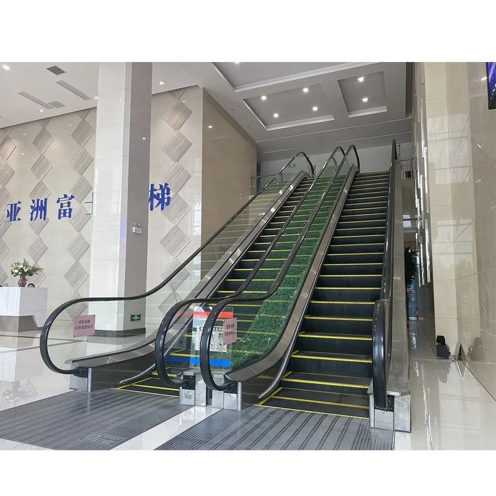 Elevator Lift Machines Cost Hydraulic Outdoor Escalators with 3c