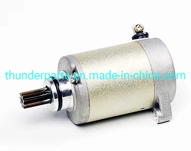 Parts of Electric/Electrial Start Motor for Motorcycle En125