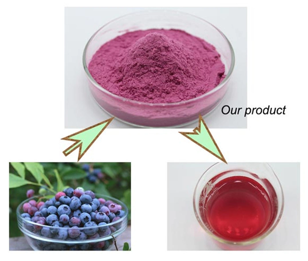 Best Price Cosmetic Grade Organic Freeze Dried Blueberry Blueberry Juice Concentrate Powder