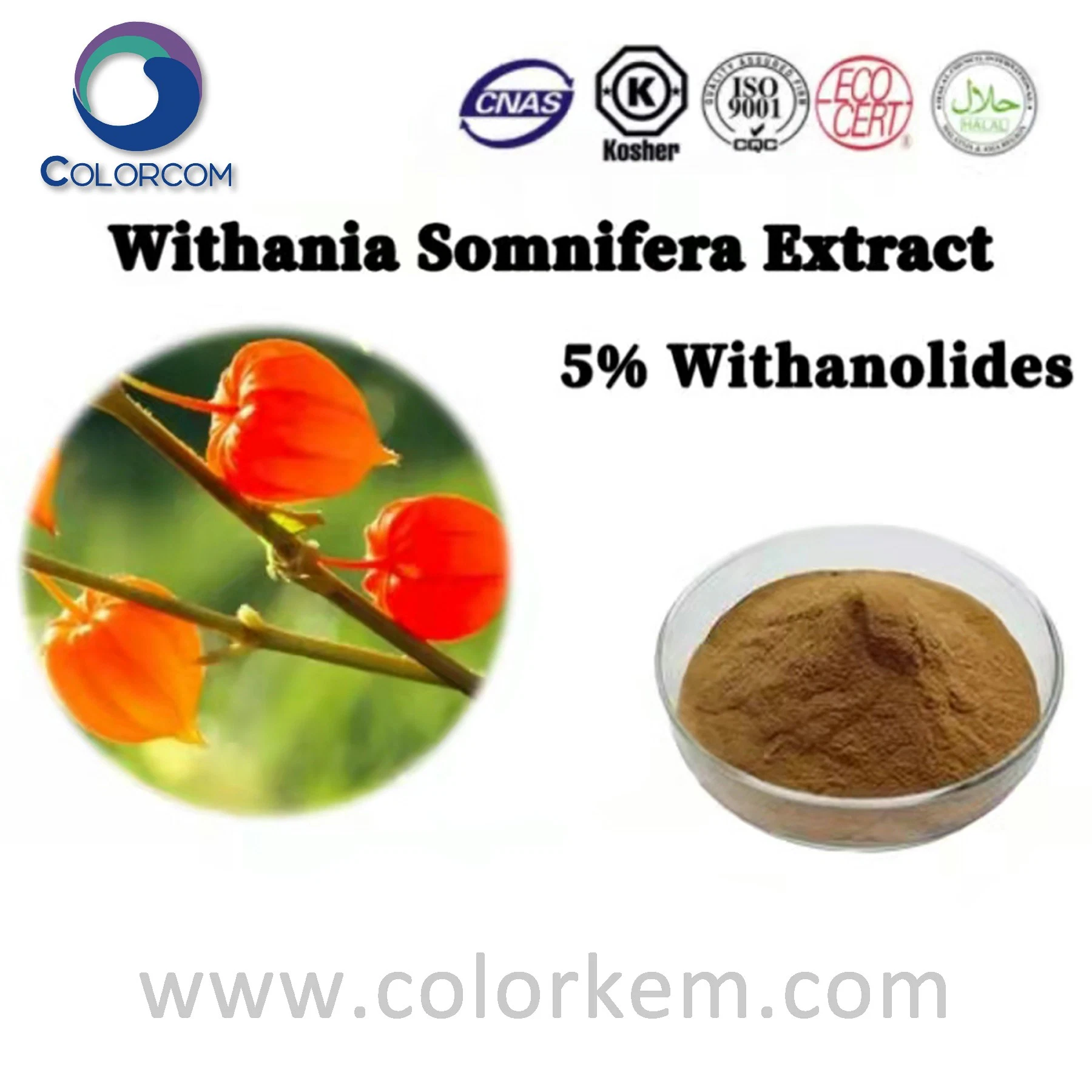 Withania Somnifera Extract Herbal Extract Free Sample