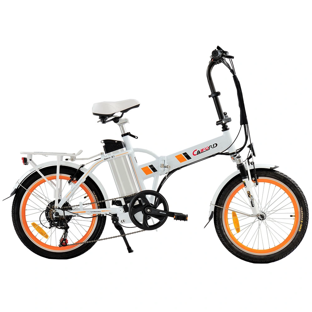 20inch Ebike Electrical Folding Bicycle Motor Mini Pocket Electric Moped Sepeda Listrik 100-240V on an Outing with Comfort Seat