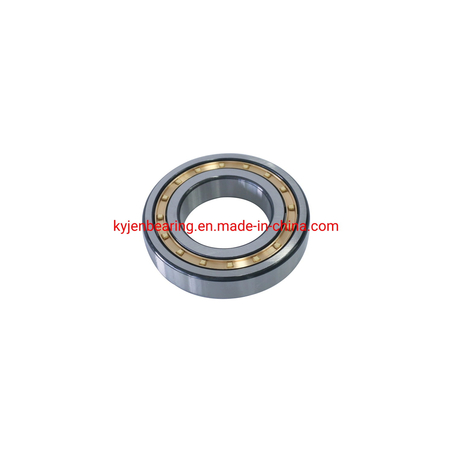 Single Row Cylindrical Roller Bearing with Nylon Cage Roller Bearing NSK NTN NACHI Koyo Timken Ball Bearing/Roller Bearing Nu314e