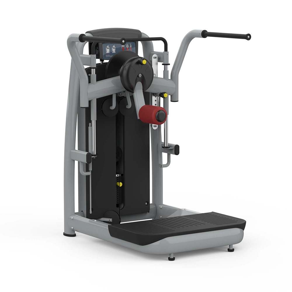 Billigere professionelle Fitness Gym Produkte Multi Hip (BFT-2010)