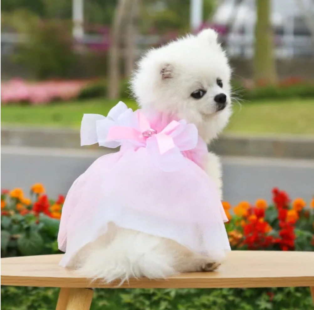 Hot Selling in Stock Summer Groom's Wedding Dress Pet Dog Clothes