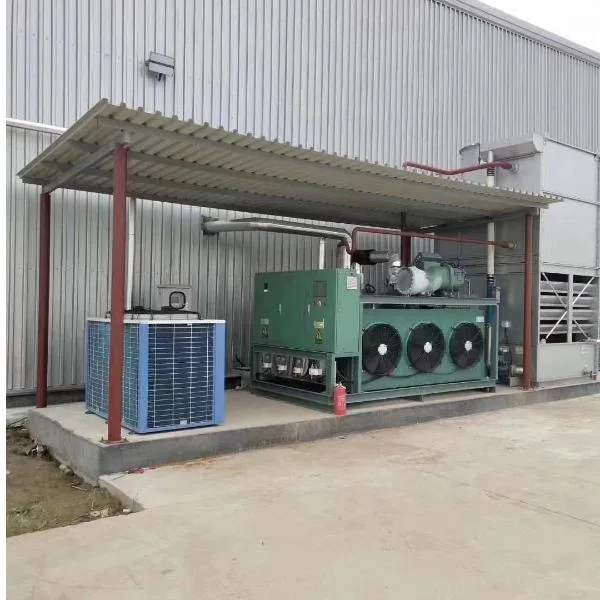 Industrielle Verflüssigungs-Einheit PU Panel Kaltraum Luft Blast Gefrierschrank Kühllagerung mit ISO&amp;SGS-Zertifizierung