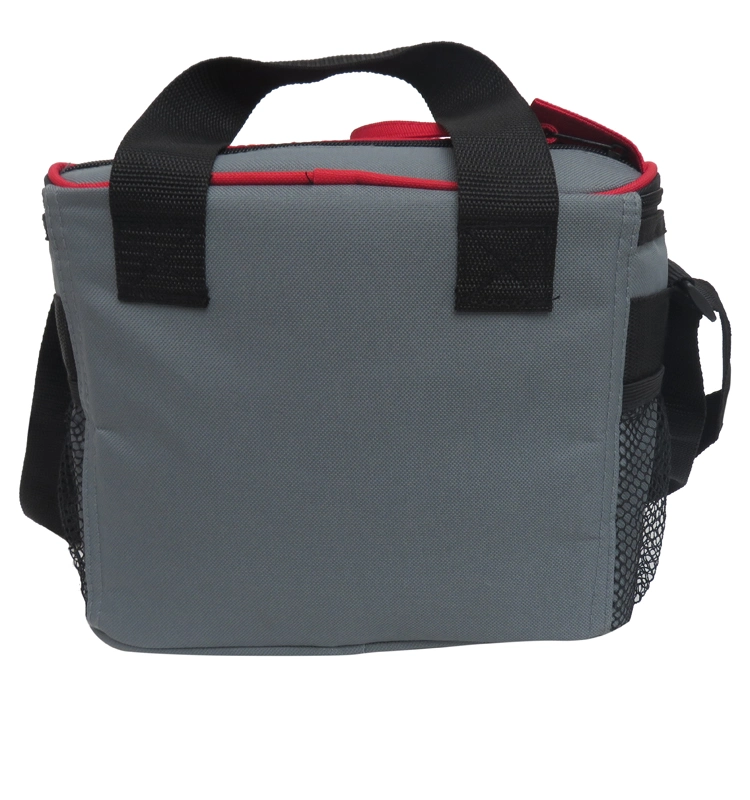 Laboratory Medical Blood/Medicine/Vaccine Insulated Transport Carrier Cooler Bag