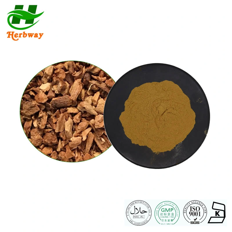 Herbway Enzian Root Extract Gentiana Scabra Bunge Extract Pulver Gentiopicrosid Pulver Gesundheitspflegeprodukte