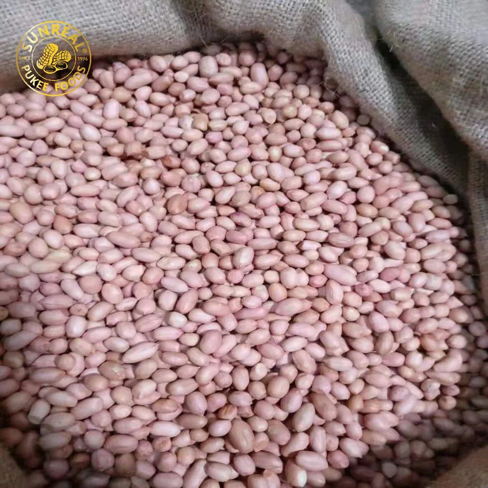 Raw Peanut Kernels 50/60 Hsuji Type Best Quality Gorgeous Packages