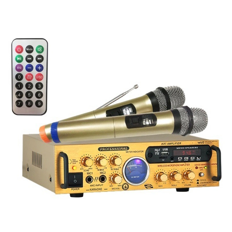 High Quality Digital Amplifier with Wireless Microphone USB Bluetooth