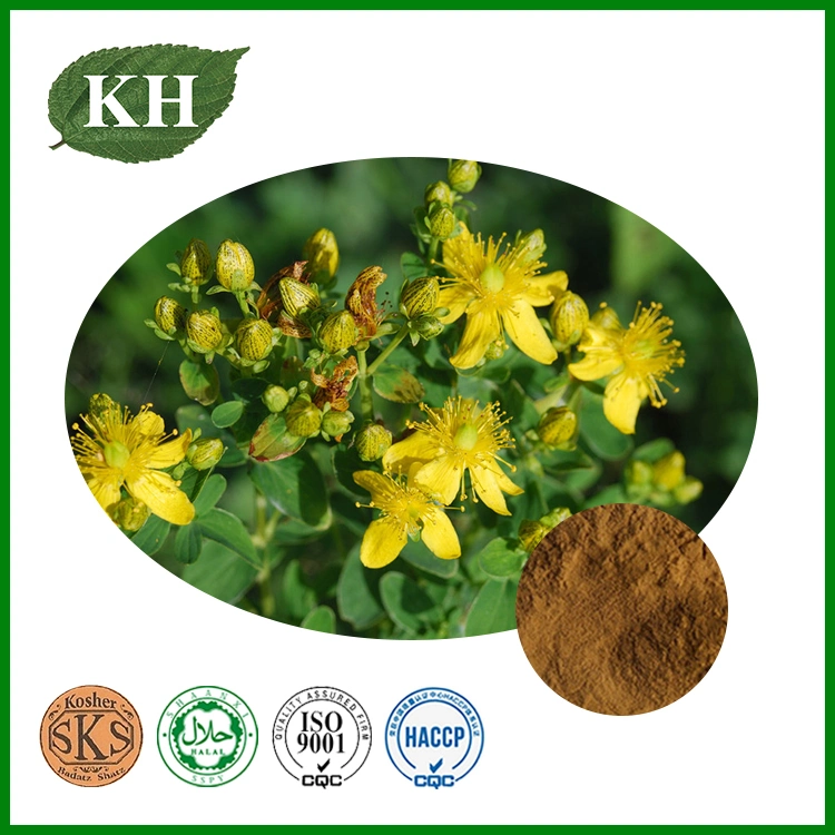 High Natural St John&prime; S Wort Extract 0.1%-0.3% Hypericins