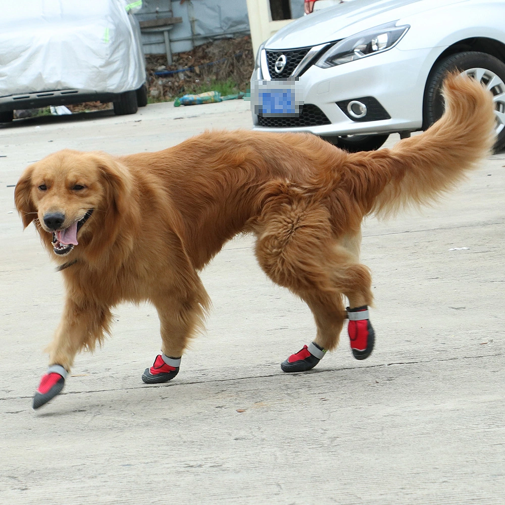 New Pet Dog Shoes Golden Retriever Corgi French Bulldog Demu Autumn Winter Shoes