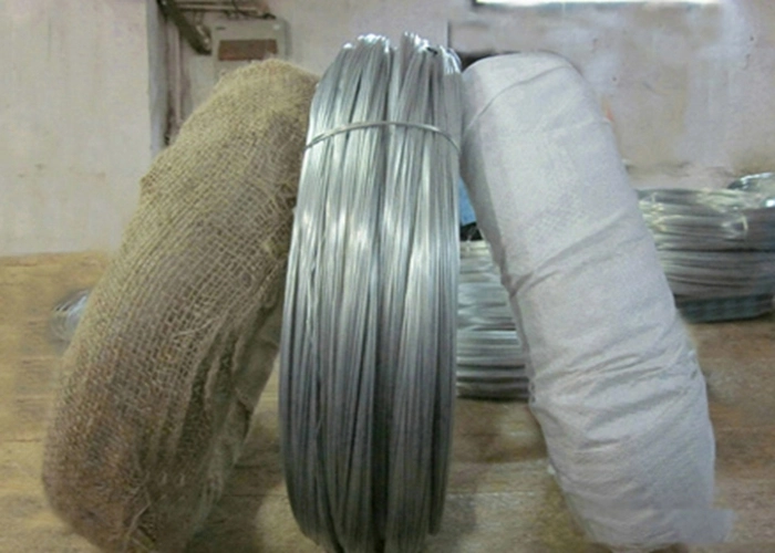 Galvanized Low Carbon Steel Wire/Galvanized Binding Wire