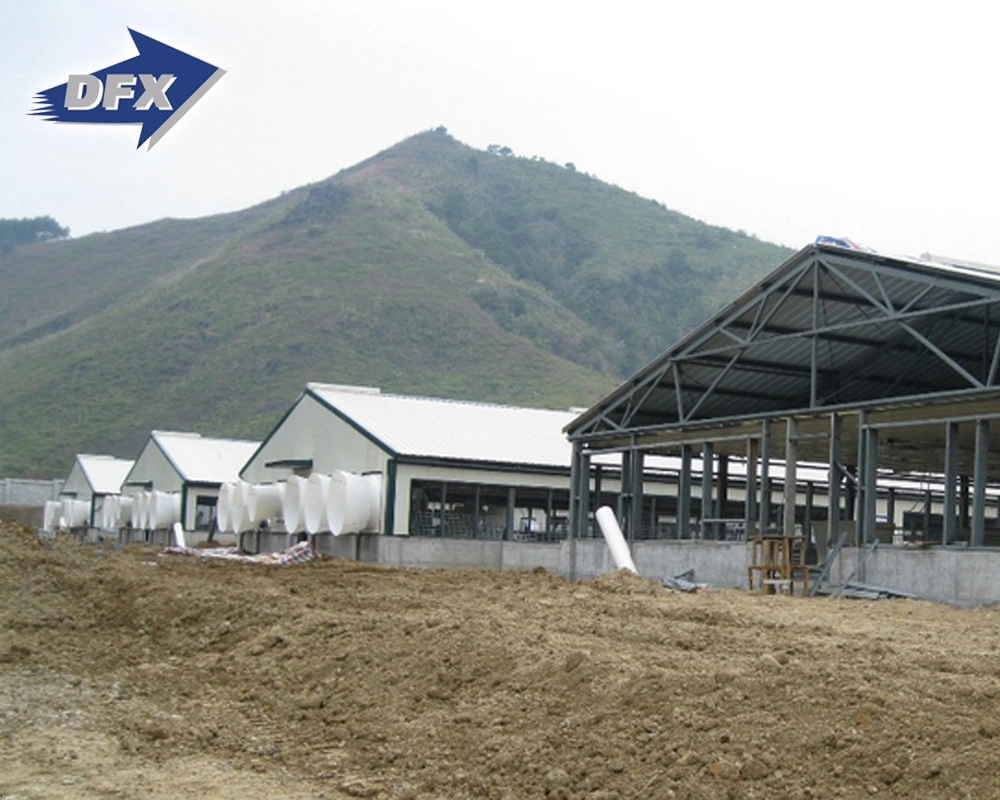 Light Steel Frame Huhn Geflügel Farm zum Verkauf Großhändler in Malaysia