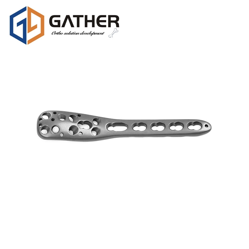 Certificats complets FDA Gather Multi Axial Bone plate Orthopédie Screw