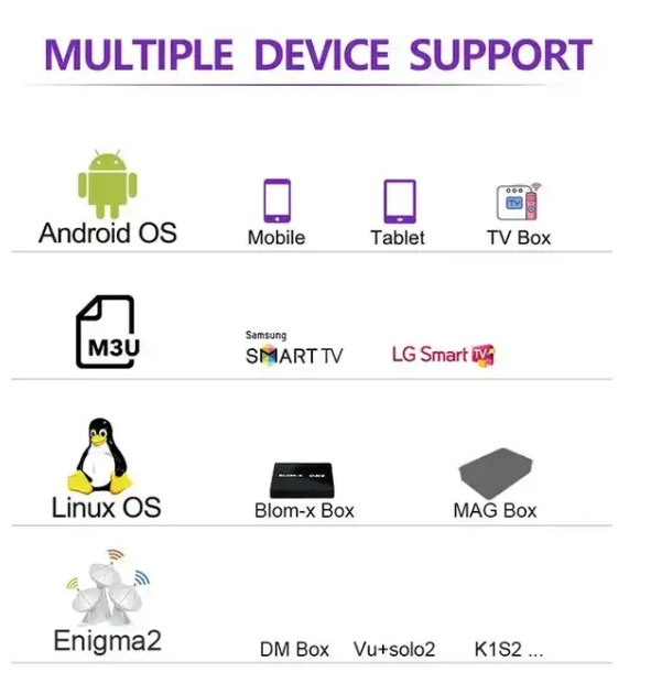 ألمانيا IPTV الاشتراك M3U IPTV كامل 4K أوروبا الفرنسية إسبانيا إيطاليا Turkeyarabe USA Ca Android Box Mini PC Mag IP TV Smart (التلفاز الذكي)