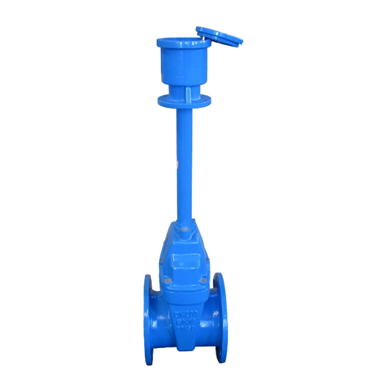 DIN Resilient Seated Gate Valve F4 BS5163 Awwa Soft Seal Gate Valve