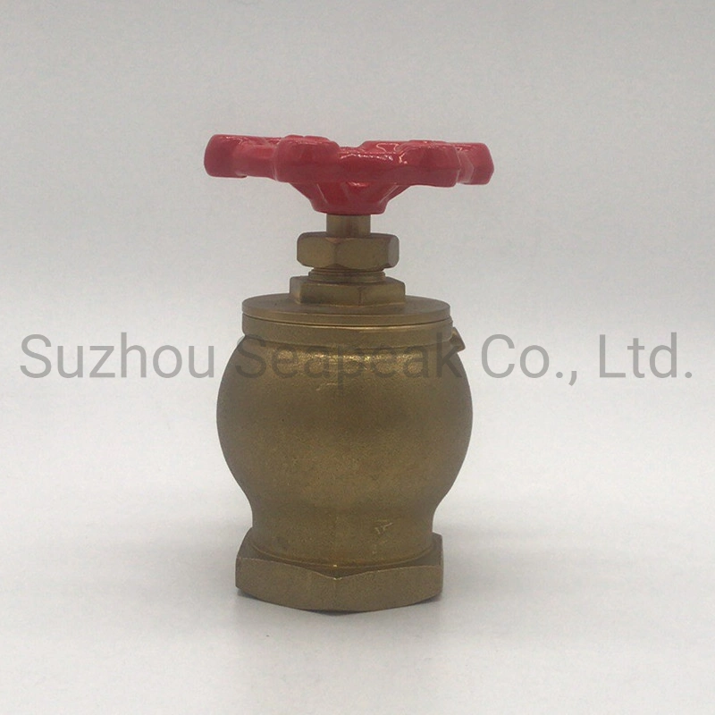 Fire Landing Valve Storz Type Fire Hydrant