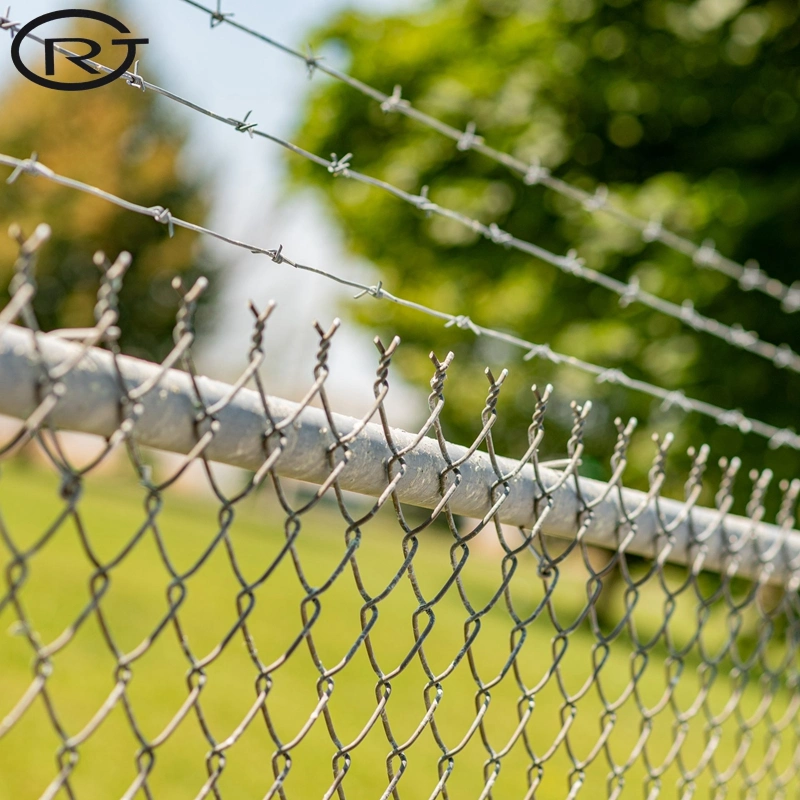 Barbed Wire China Constrctin and Decoration in The Garden