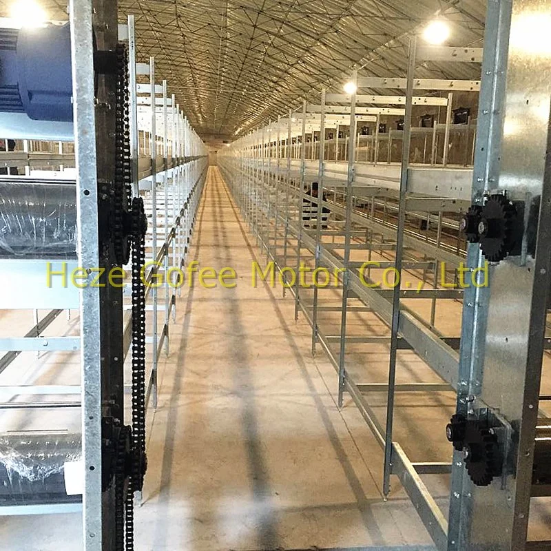 H Type Broiler Duck Feeding Automatic Equipment Chicken Layer Feeding Cages 4 Tiers