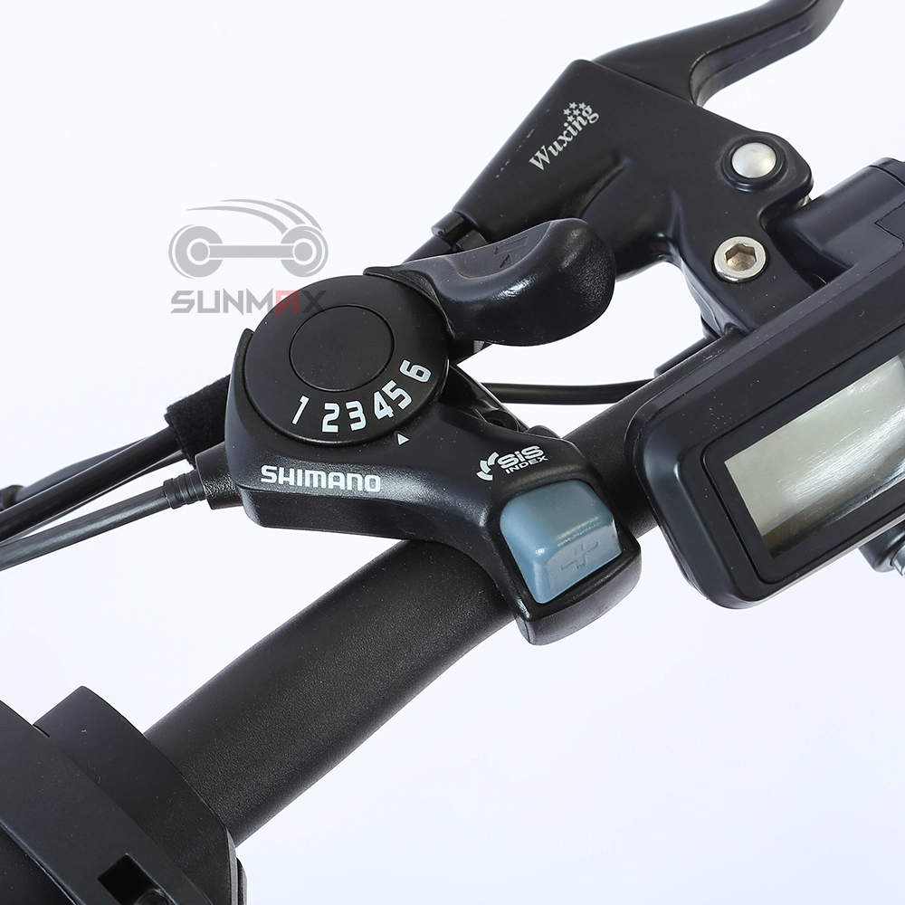 Горячий продаж электрический велосипед Ebike электрический велосипед для Китая на заводе