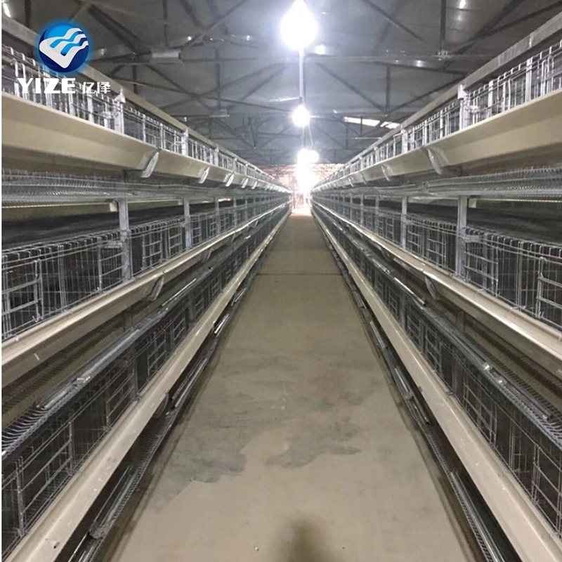 3 Tier 96 Capacity Chicken Layer Poultry Farm Design