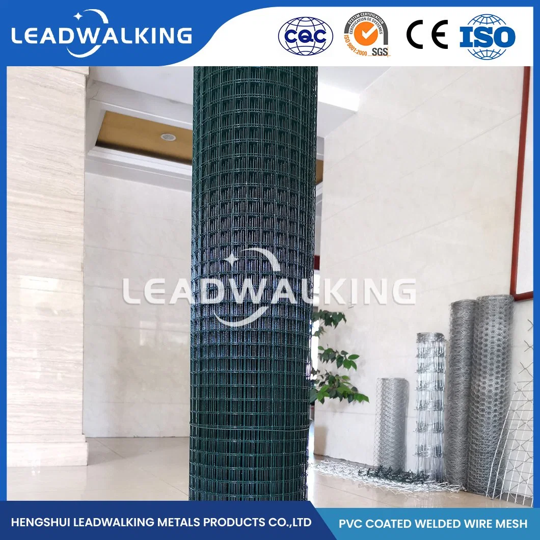 Leadwalking 2X2 Galvanized Welded Welded Wire Mesh Fence Panel Suppliers Custom Electro Galvanized Welded Mesh China 1/2 Inch Plastic Coated Welded Wire Mesh