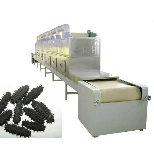 Commercial Automatic Tunnel Microwave Dryer Pumpkin Seeds Drying Machine