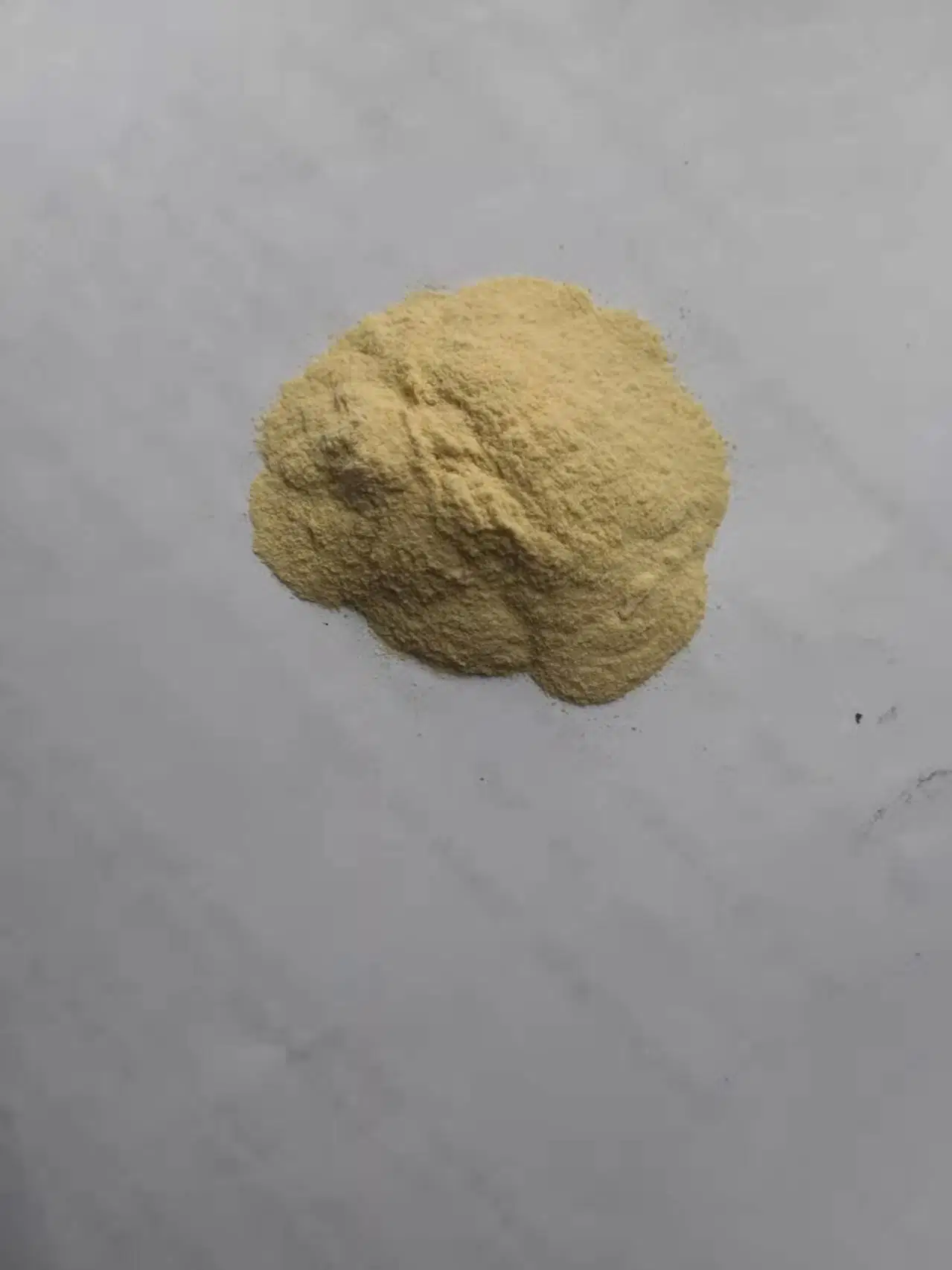 CAS 11138-66-2 Xanthan Gum, Galactomannane, for Pharmaceutical and Industrial Use