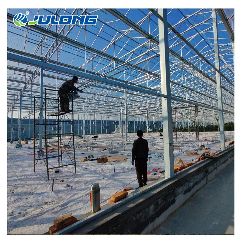 Solar Greenhouse China Suppliers Agricultural New Design Glass Greenhouse for Flowers Trees Seedlings