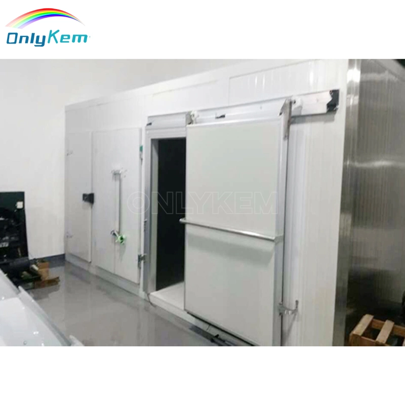 Customized Size Walk in Cold Room Hotel Use Big Size Refrigerator Equipment Meat Storage