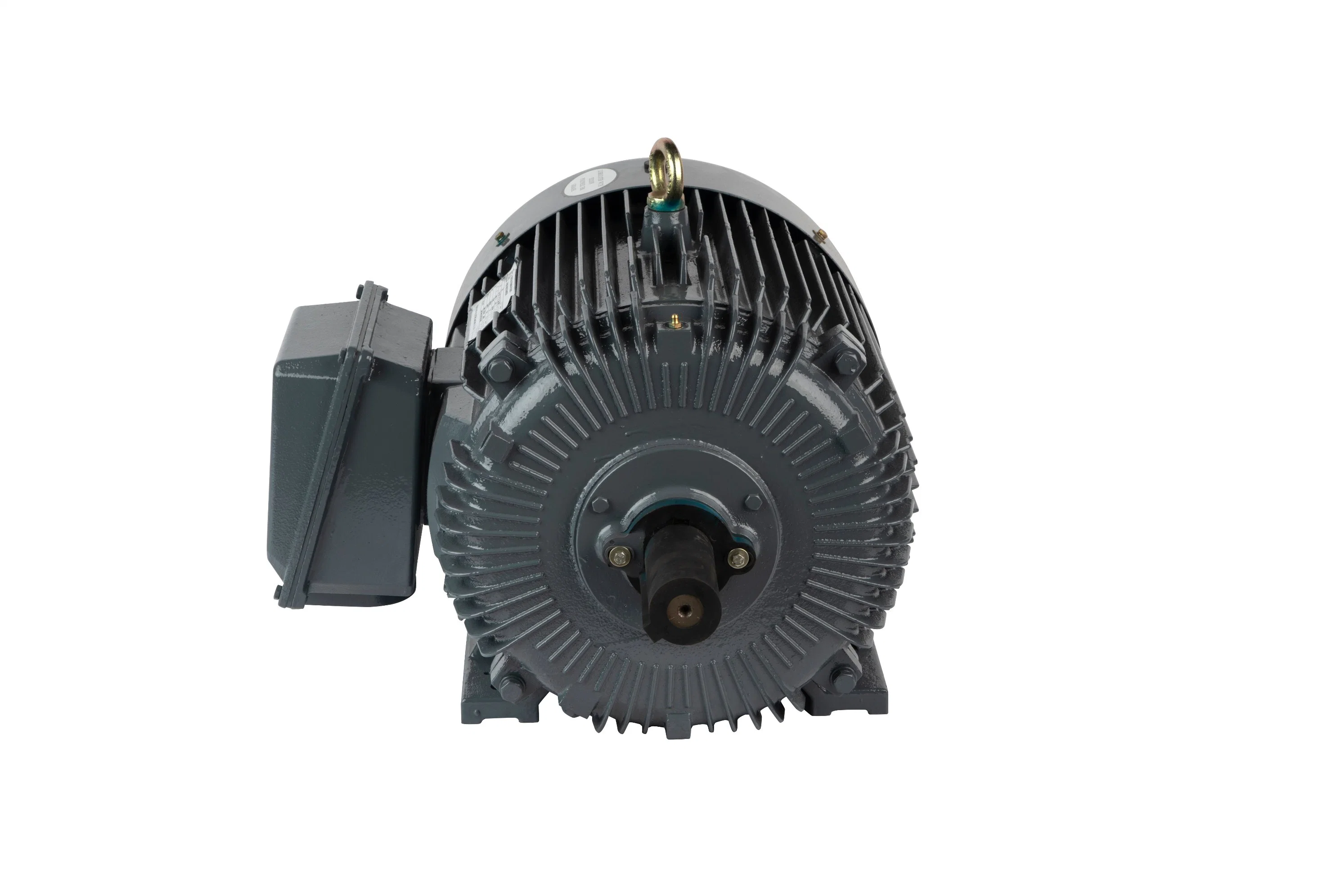 Y Y2 Series Three-Phase Asynchronous Electric/Electrical AC Motor