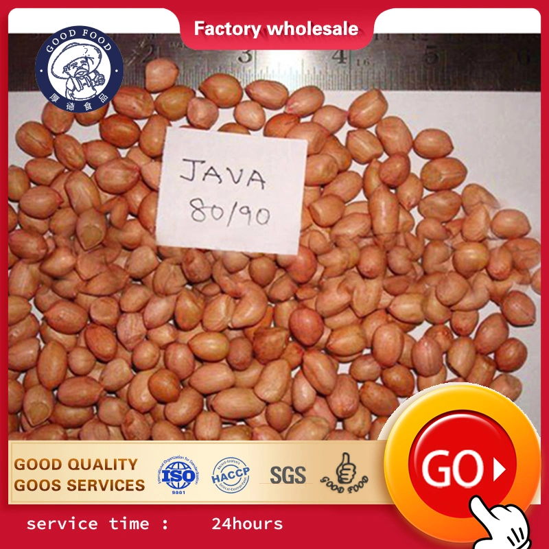 Price Cheap Peanuts Bulk Wholesale Raw Red Skin Kernel Peanut with Factory Price