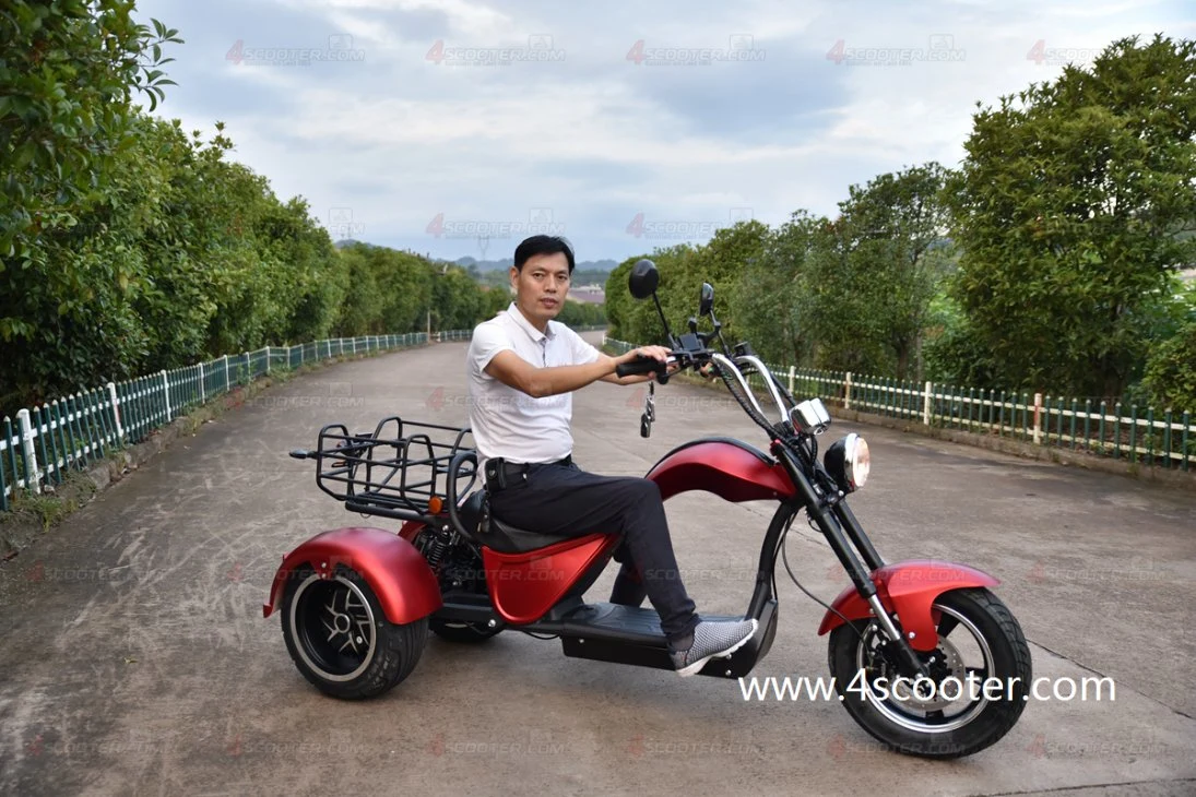 Comercio al por mayor fuera de carretera con una carga pesada CEE Scooter eléctrico de AOC 5000W