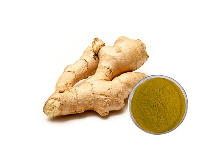 Food and Beverage Wholesale Price 100% Dehydrates Ginger Extract