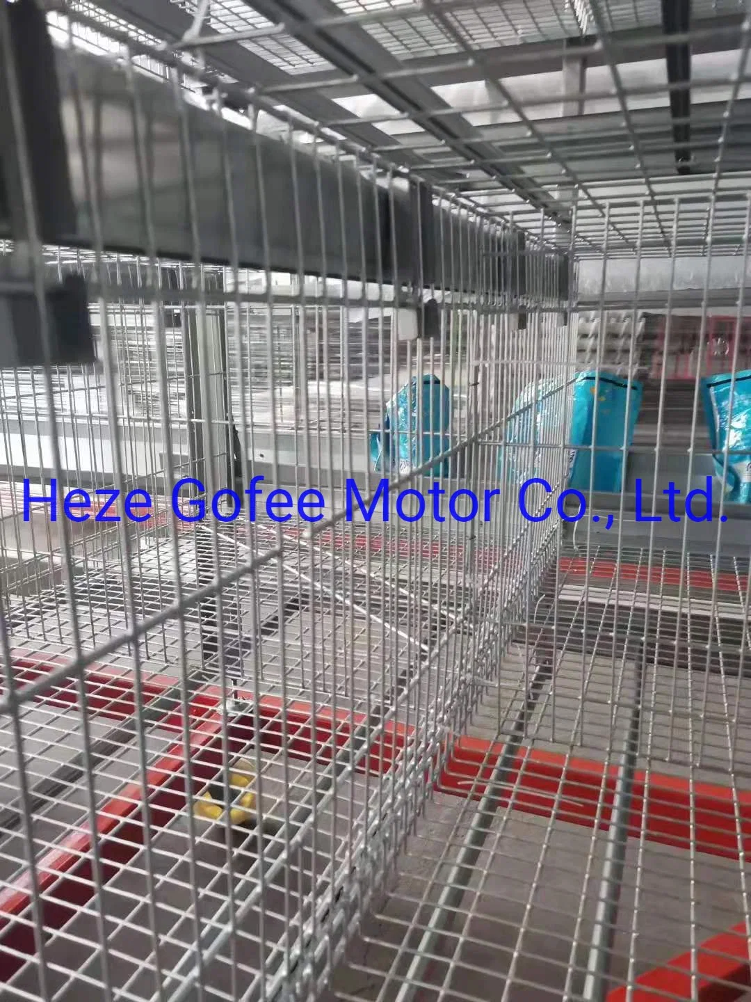 Egg Chicken Cage Poultry Farm Layer Cages