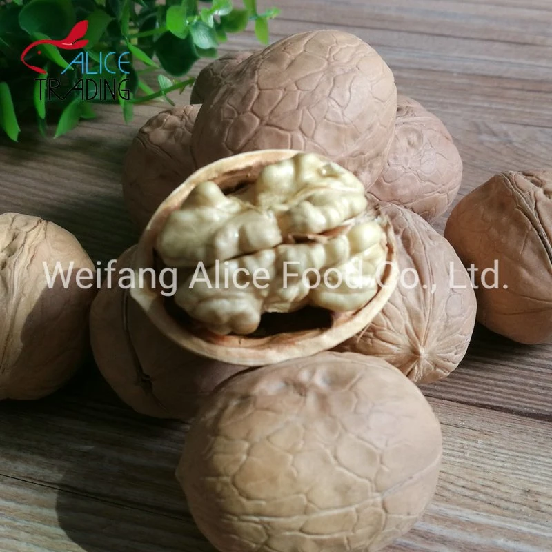 Healthy Snack Ingredient Walnut Kernels Walnut