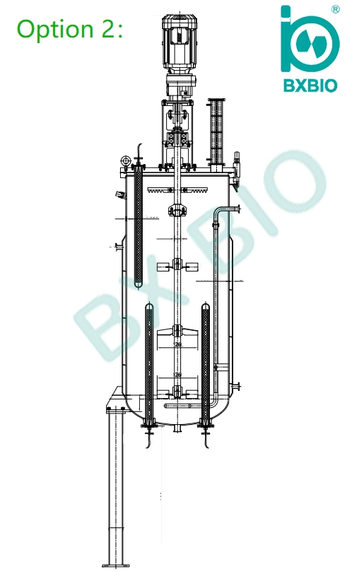 10L-10000L Bio Reactor Tank Bioreactor with Illumination Photo for Plant Cell Culture Microalgae Algae