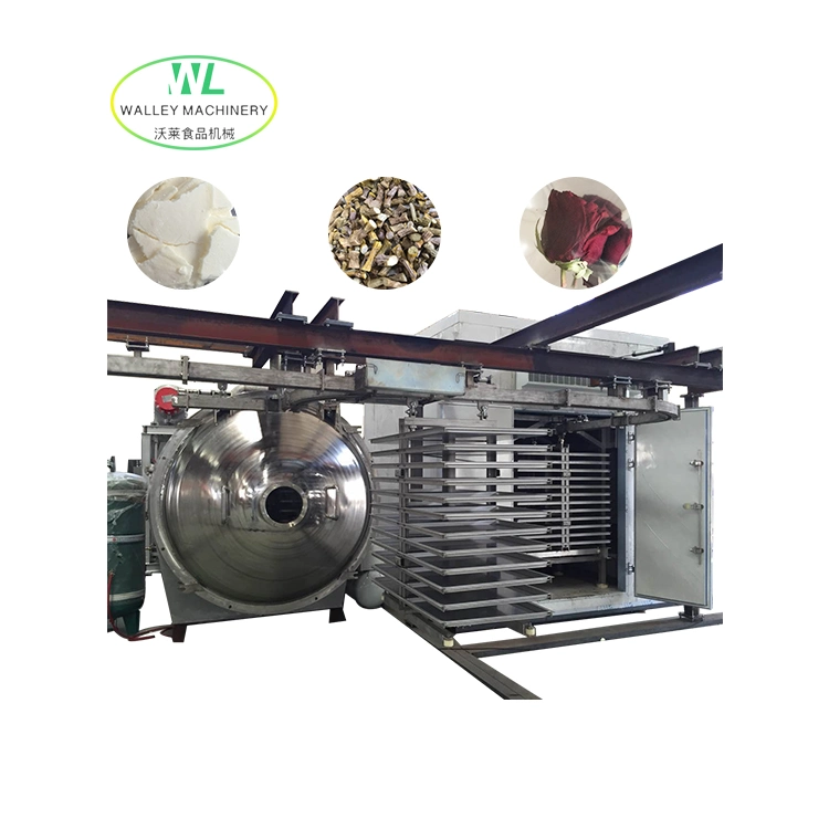 High Quality Vacuum Freeze Drying Machine for Food