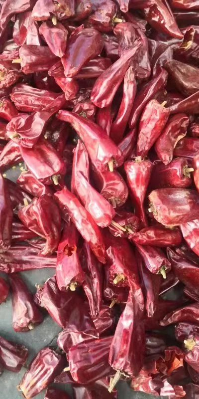 High Quality Wholesale Dry Hot Pepper Cayenne Pepper Red Chilli