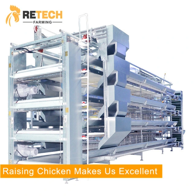 Best Chicken Raising Equipment Factory H Type of Layer Chicken Cages